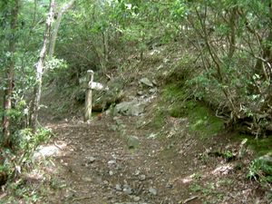 2003_06_29_jippou001.JPG