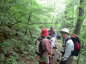 2003_06_29_jippou002.JPG