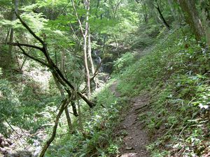 2003_06_29_jippou005.JPG
