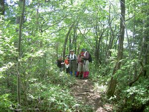 2003_06_29_jippou009.JPG