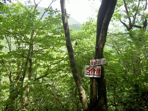 2003_06_29_jippou010.JPG