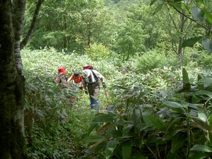 2003_06_29_jippou012.JPG
