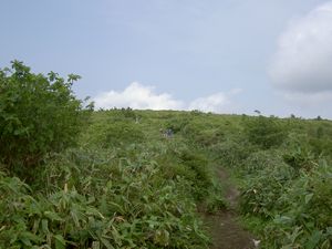 2003_06_29_jippou013.JPG