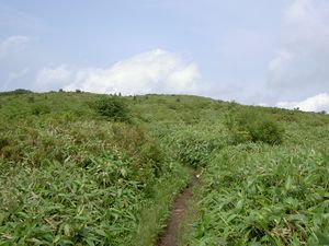 2003_06_29_jippou016.JPG