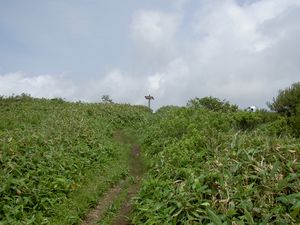2003_06_29_jippou020.JPG