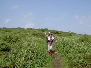 2003_06_29_jippou026.JPG