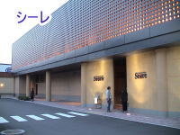 シーレ