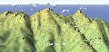 {VYx