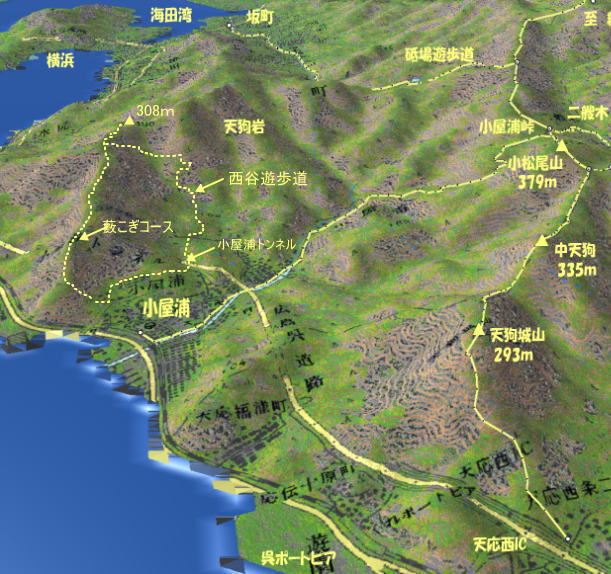 V-MAP