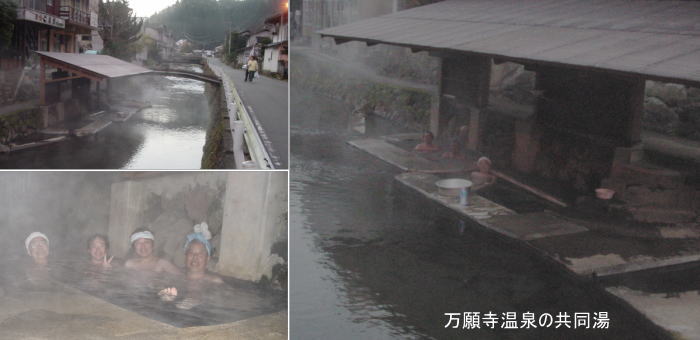 莛
