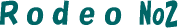 rodeoNo2