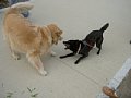 2005_06_01_kai005.jpg