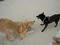 2005_06_01_kai007.jpg