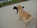 2005_06_01_kai009.jpg