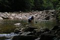 2005_07_23_rakan049.jpg