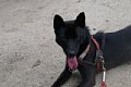 2005_07_31_kai021.jpg