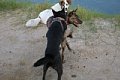 2005_09_03_kai014.jpg