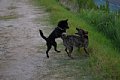 2005_09_03_kai022.jpg