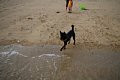 2005_09_03_kamagari009.jpg