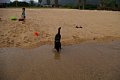 2005_09_03_kamagari018.jpg
