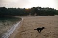 2005_09_03_kamagari039.jpg