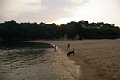 2005_09_03_kamagari060.jpg
