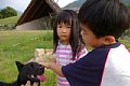 2005_09_03_kamagari146.jpg