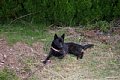 2005_09_03_kamagari176.jpg