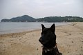 2005_09_03_kamagari189.jpg