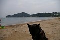 2005_09_03_kamagari190.jpg